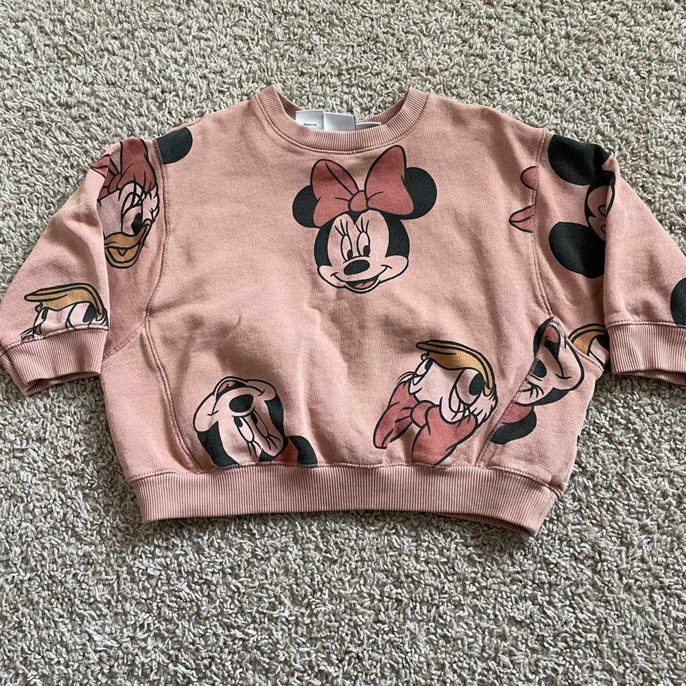 Zara Disney sweatshirt.